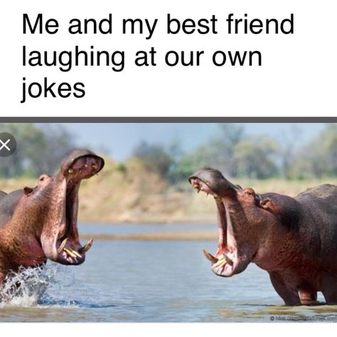 #besties #meme #relatable Friendship Memes, Me And My Best Friend, Friend Jokes, Friend Memes, Best Friends Funny, Funny Animal Jokes, Crazy Funny Memes, Friends Are Like, Friends Quotes Funny