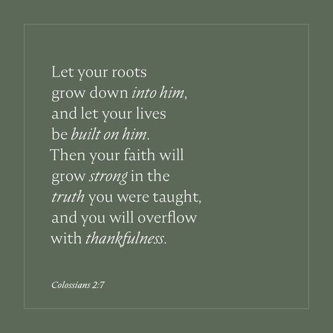 "Let your roots grow down into him, and let your lives be built on him. Then your faith will grow strong in the truth you were taught, and you will overflow with thankfulness." Colossians 2:7, NLT #NewLivingTranslation #NLTBible #Bibleverse #Bibleverses #Biblestory #Biblestories #Bibleversesdaily #Bibleversedaily #Biblequote365 #Biblewords #Bibledaily #Bibleverseoftheday #BibleScriptures #Bibleinspiration #Christianinspiration #Biblesays #dailyBible #dailyBibleverse #dailyBiblereading ⁠ Let Your Roots Grow Down Into Him, Rooted Bible Verse, Scripture About Growing In Faith, Growing Bible Verse, Letterboard Scripture, Rooted In Faith, Contentment Bible Verse, Colossians 2:7, Bible Verse About Growth