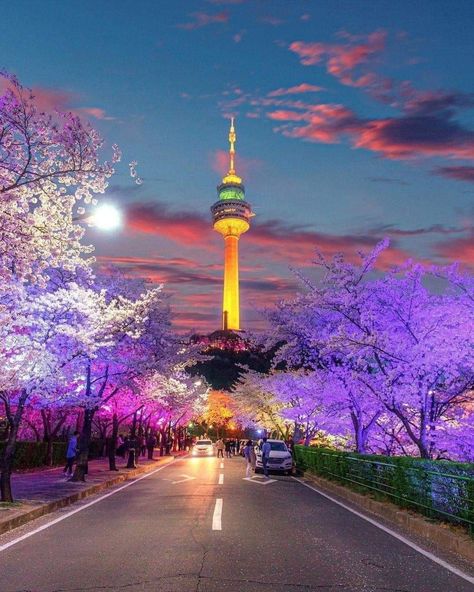 Places To Visit In Seoul, Visit South Korea, N Seoul Tower, Seoul Travel Guide, Seoul Tower, Namsan Tower, South Korea Photography, Seoul Korea Travel, Busan Korea