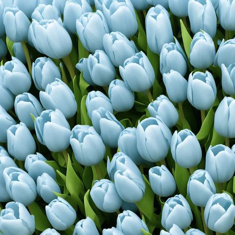 Blue Flowers Widget, Blue Tulips Aesthetic, Turquoise Blue Aesthetic, Blue Tulips Wallpaper, Blue Aesthetic Flowers, Blue Vibes Aesthetic, Light Blue Tulips, Blue Flower Aesthetic, Tulip Flower Pictures