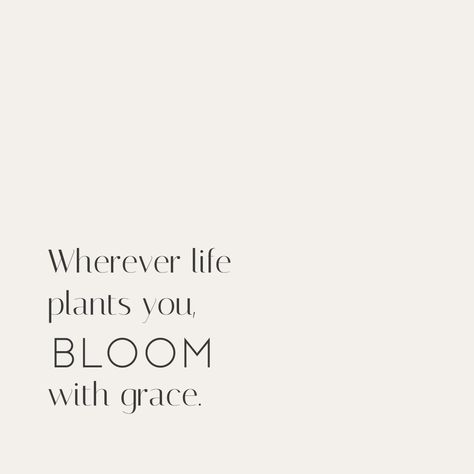 Wherever Life Plants Bloom With Grace, Bloom Where You Are Planted Bible Verse, Having Grace Quotes, Bloom With Grace Quotes, Midweek Reminder, Florist Shop Interior, Bloom Quotes, Growing Quotes, Bloom With Grace