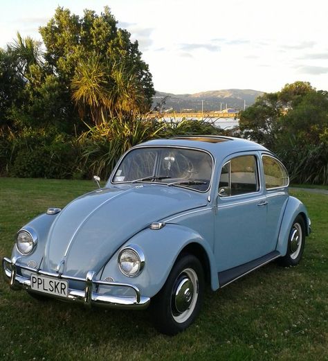 Old Blue Car, Luxe Auto's, Retro Auto, Carros Vintage, Volkswagen New Beetle, Old Vintage Cars, Beetle Car, Auto Retro, Ferdinand Porsche