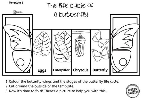 Butterfly Life Cycle Foldable 422 Butterfly Life Cycle Foldable, Plant Life Cycle Foldable, Butterfly Life Cycle Activity, Butterfly Life Cycle Craft, Insect Life Cycle, Life Cycle Of A Butterfly, Cycle Of A Butterfly, Life Cycle Craft, Animal Life Cycles