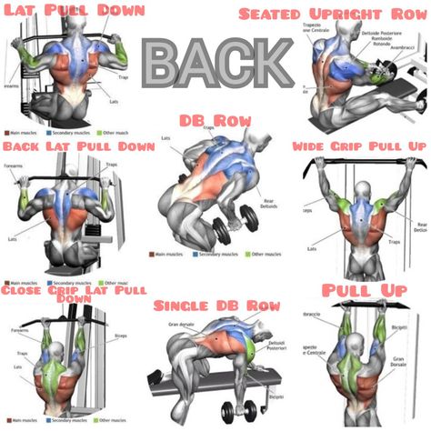 My Favorite Back Workouts Back Workout Chart, Gym Machine Workouts For Men, Back Destroyer Workout, Whole Back Workout, Mens Back Workout Gym, Huge Back Workout, Back Muscle Training, Good Back Exercises, Men’s Back Workout