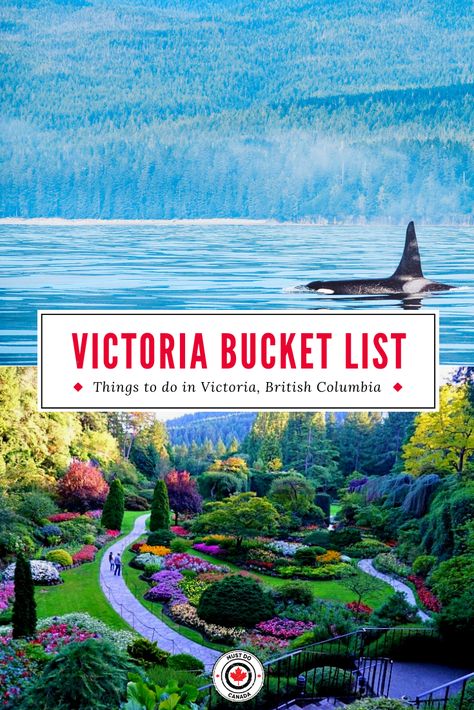 Are you planning a vacation in Victoria, British Columbia? Here is your guide to Victoria, BC - including where to stay, the top things to do in Victoria, and so much more! I things to do in British Columbia I Canada travel I what to do in BC I where to go in British Columbia I places to go in BC I where to go in Canada I what to do in Victoria I travel in British Columba I travel in Canada I Victoria guide I places to go in Victoria I destinations in British Columbia I #Canada #BritishColumbia Canada British Columbia, Canada Bc British Columbia, Map Of British Columbia, Day Trip To Victoria Bc, What To Do In Victoria Bc, Visiting Victoria Bc, Buchart Gardens Victoria Bc Canada, Victoria Things To Do, Vancouver Island Victoria