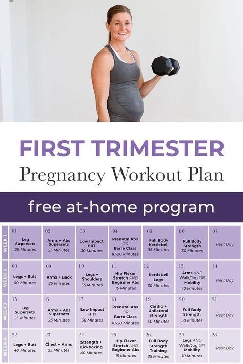 Pregnancy Exercise First Trimester, Prenatal Workout Plan, Pregnancy Ab Workout, Second Trimester Workouts, Pregnancy Abs, Best Pregnancy Workouts, First Trimester Workout, Pregnancy Stretches, Exercise While Pregnant