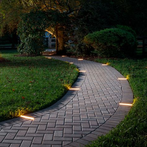 Tru-Scapes Paver Lights | LED - Outdoor Paver Lights | Offered by Belgard Paver Walkway Ideas, Hardscape Lighting, Paver Path, Paver Lights, Pavement Design, Paver Designs, Pavers Backyard, Paver Walkway, Walkway Ideas