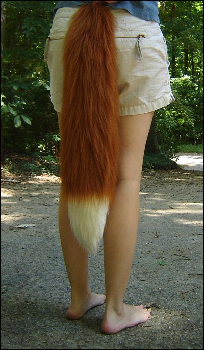 I was cleaning up my gallery and noticed the only fox tail image was old and UGLY, so here is a better one of the pattern I use now. These are $45 and pretty much ready-made. And no that is not my ... Fox Ears And Tail, Fox Costume, Fox Mask, Fox Tail, Fox Ears, Animal Costumes, Black Sparkle, Red Fox, An Animal