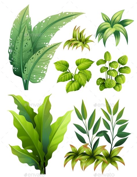 Leafy Plant Drawing, Plant Leaves Illustration, Different Types Of Leaves Sketches, Leaf Pile Illustration, Turntables Art, Different Types Of Leaves, Rainforest Plants Illustration, Types Of Leaves, Dinosaur Plant