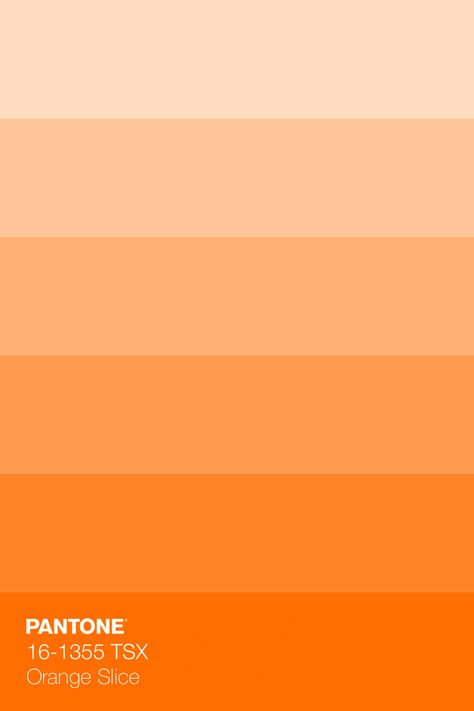 PANTONE 16-1355 TSX Orange Slice Colour Tint · Discover Color Book of 203 trend-driven, neutral, bright, and pastel Pantone Polyester TSX Colors, dyed on 100% polyester fabric for Interiors · #Pantone #Color #ColorRange #Inspiration · @pantonecolor · Kid’s Pattern