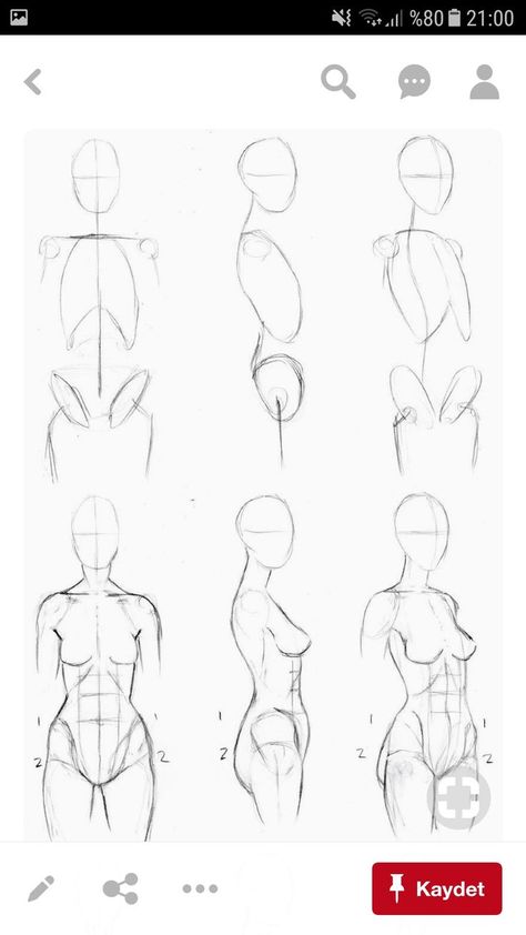 Lean Female Reference, Human Torso Reference, Male Vs Female Anatomy, Woman Body Sketch, Figure Drawing Tutorial, Art Of Drawing, Female Anatomy Reference, Human Body Drawing, Drawing Female Body