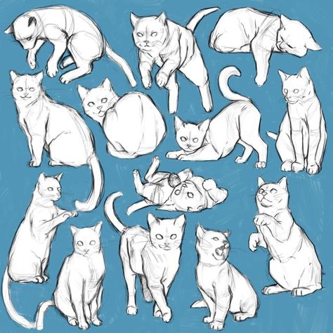 Santiago Astor - Art Tutorials on Instagram: “Cat pose studies by amazing artist sayuttan (DeviantArt) 🌟 Would you like to see more animal drawing guides? 🐱 ⠀ Check the link in my…” Cat Legs Drawing Reference, Person With Cat Reference Drawing, Cat Drawing Guide, Cats Poses Drawing, Cat Drawing Study, Petting A Cat Drawing Reference, Animal Studies Sketch Drawing Reference, Cat References Drawing, Animal Sketching Ideas