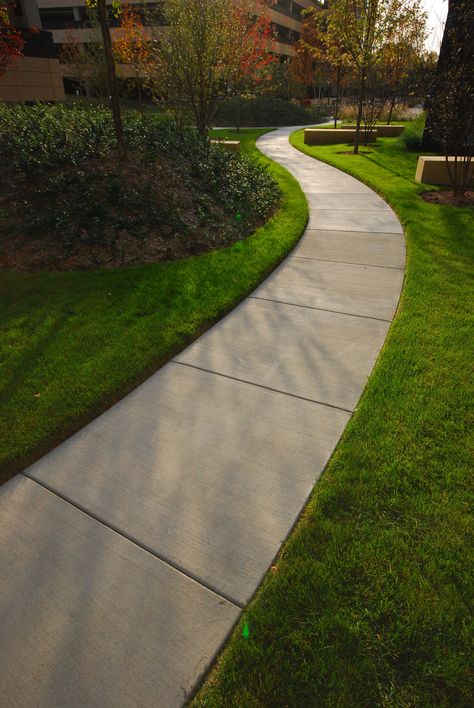 Concrete Walking Path, Modern Walkway Ideas, Walking Path Around House, Concrete Pathway Ideas Walkways, Modern Sidewalk, Modern Walkway, Concrete Sidewalk, Concrete Pathway Ideas, Concrete Pavers Walkway