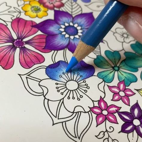 Colored Pencil Lessons, Johanna Basford Books, Lost Ocean Coloring Book, Colored Pencil Art Projects, Joanna Basford Coloring, World Of Flowers, Joanna Basford, Colored Pencil Portrait, Flowers Instagram