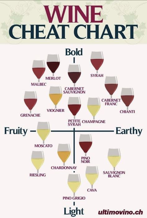 Wine Basics, Wine Chart, Wine Flavors, Wine Knowledge, Dining Etiquette, Wine Guide, Easter Hairstyles For Kids, Wine Food Pairing, Hairstyles Short Hair