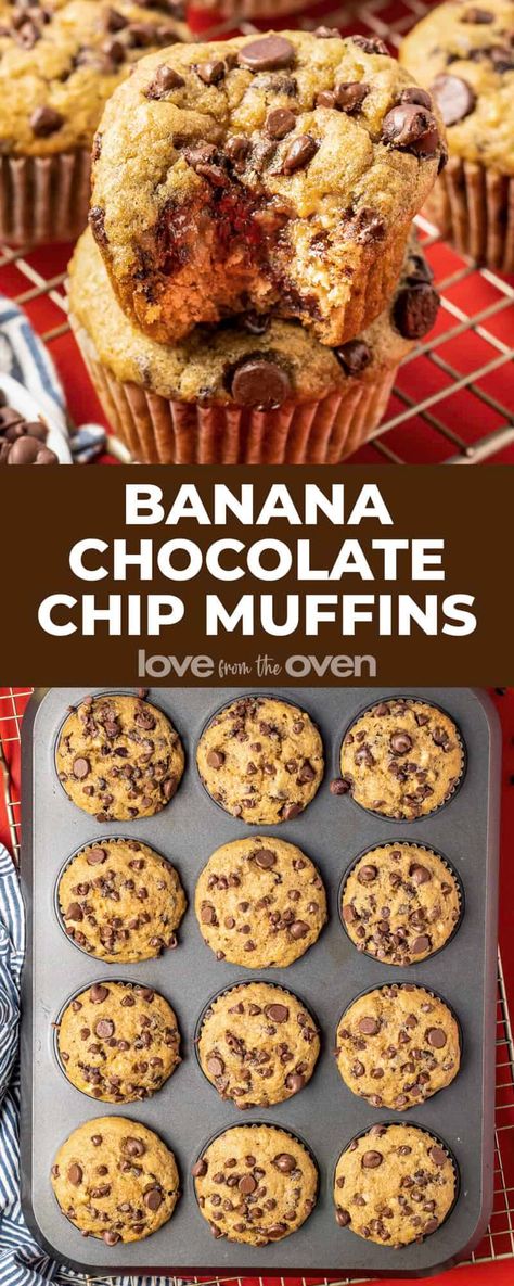 Banana Chocolate Chip Recipes Muffins, Healthy Banana Chip Muffins, Chocolate Chip Banana Recipes, Banana Chocolate Chip Brownies, 3 Ingredients Banana Muffins, Easy Banana Bread Cupcakes, Easy Banana Bread Muffins Recipe, Banana Bread Chocolate Chip Muffins, Banana Muffins Chocolate Chip