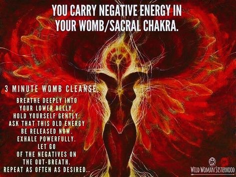 Womb Cleanse, Wild Woman Sisterhood, Swadhisthana Chakra, Sacral Chakra Healing, Wild Women Sisterhood, Manipura Chakra, Womb Healing, Best Meditation, Sacred Feminine