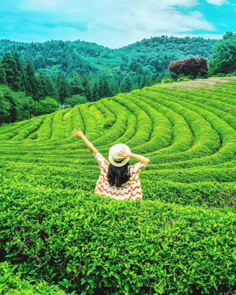 Munnar Photography Travel, Munnar Photography Kerala, Places In South Korea, Photography Ideas Nature, Creative Photography Ideas, Sisters Photoshoot Poses, Travel Pose, Scrub Corpo, Mountain Pose