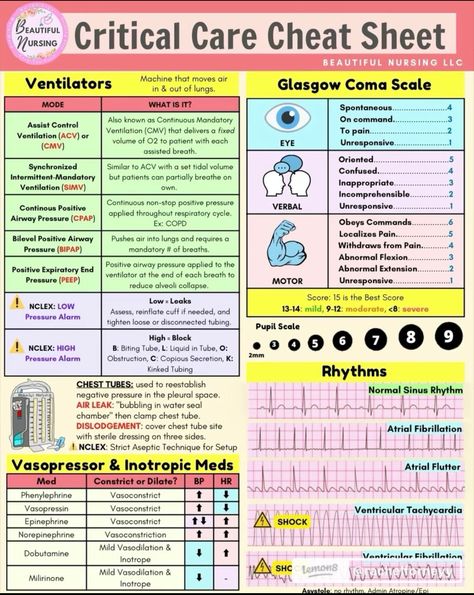 Nursing School Studying Cheat Sheets, Nursing School Essential, Nursing Study Guide, Medical School Life, Nursing School Motivation, Questions With Answers, Nurse Study Notes, Nursing Mnemonics, Nursing Student Tips