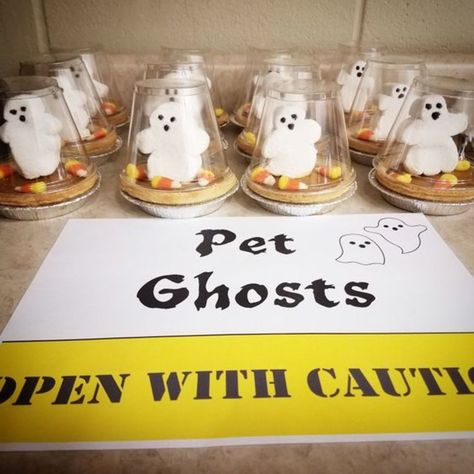 Pet Ghosts #trickortrend 👻 https://discover.hubpages.com/holidays/last-minute-halloween-party-favors Ghost Snacks Preschool, Ghost Themed Snacks, Adopt A Ghost Party Favor, Ghost Snacks, Ghost Marshmallows, Halloween Party Favors For Kids, Halloween Class Treats, Last Minute Halloween Party, Ghost Food