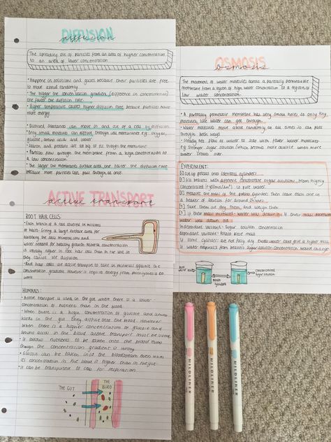 GCSE Biology: diffusion, osmosis and active transport revision notes Active Transport Notes, Diffusion Osmosis Active Transport, Biology Notes Diffusion, Osmosis Revision Notes, Gcse Notes Aesthetic, Diffusion Biology Notes, Gcse Science Revision Biology, Revise Aesthetic, Art Revision