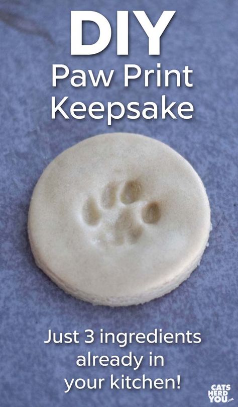 Dog Paw Print Craft, Diy Paw Print, Diy Jouet Pour Chat, Paw Print Keepsake, Paw Print Crafts, Katt Diy, Paw Print Art, Katt Grejer, Kat Diy