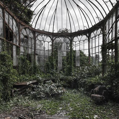 Abandoned Botanical Garden, Green Abandoned Aesthetic, Abandoned Nature Aesthetic, Buildings Taken Over By Nature, Dystopian Forest Aesthetic, Poison Plants Aesthetic, Abandoned Garden Aesthetic, Botanics Aesthetic, Poison Ivy Plant Aesthetic