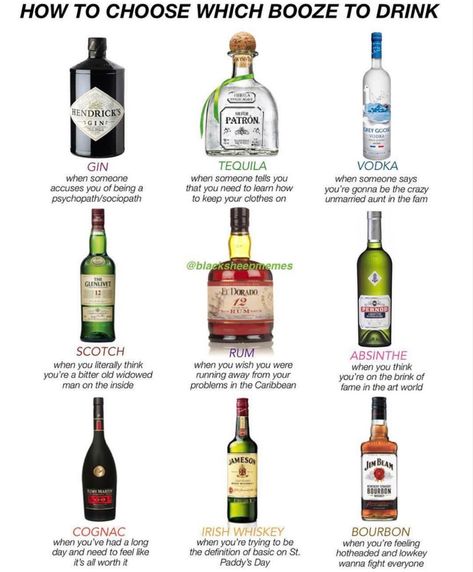 Liquor Types, Alcohol Types, Alcoholic Drinks Bottles, Types Of Alcohol, Bartending Tips, Bartender Drinks Recipes, Wine Chart, Bartender Drinks, Best Alcohol