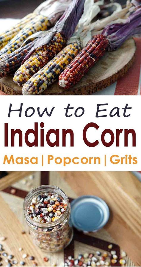 Yes, you can eat Indian Corn! Read how to harvest and grind the colorful corn into flour, to use it as popcorn, and how it evolved into Modern Sweet Corn. Indian Corn Recipes, Colored Corn, Best Indian Recipes, Easy Juice Recipes, Gluten Free Shopping, Dried Corn, Indian Corn, Clean Eating For Beginners, Gluten Free Flour Blend