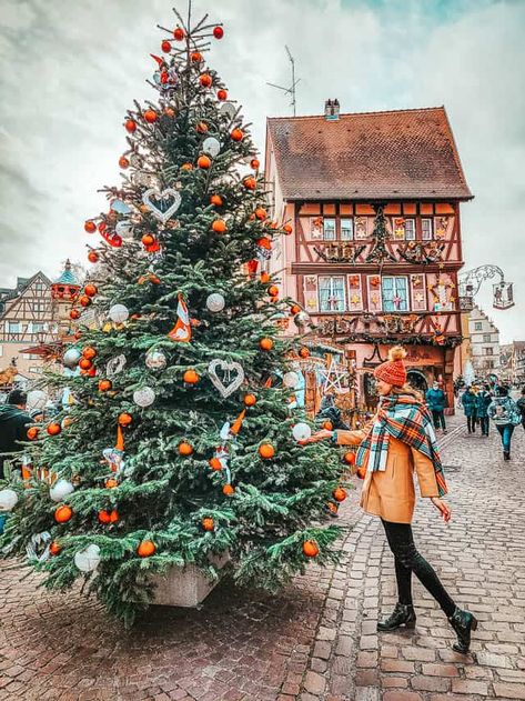 🎄 A Detailed 2023 Guide to the Colmar Christmas Market Colmar Christmas, Best European Christmas Markets, Strasbourg Christmas, Strasbourg Cathedral, Best Christmas Markets, Christmas Markets Europe, Alsace France, Christmas Markets, European Destinations