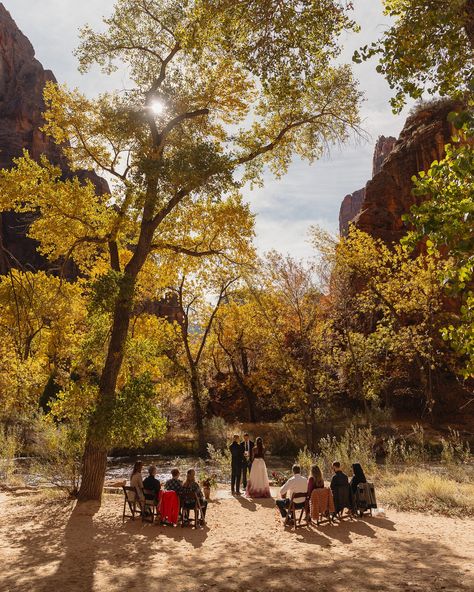 Alison & Zach married in Zion 🏜️🍂 the fall colors were in full swing for these two and we had the most beautiful day together waking up hours before sunrise, freezing our butts off in the desert wind, running through slot canyons & along the Virgin River, then meeting up with their families for their riverside ceremony under the cottonwoods. They ended the day dancing in the sunlight and dipping their bare feet in the river at the top of the canyon. It was so beautiful! Working with @sheyalle... Slot Canyons, Virgin River, Slot Canyon, Before Sunrise, Adventure Photography, Adventure Elopement, In The Desert, Couples In Love, Create Photo