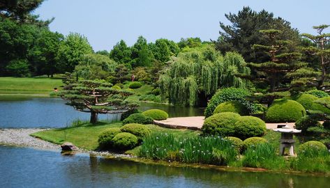 Chicago Botanical Garden, Garden Forest, Chicago Things To Do, Garden Escape, Science Centers, Chicago Summer, Play Garden, Chicago Botanic Garden, Orchid Show