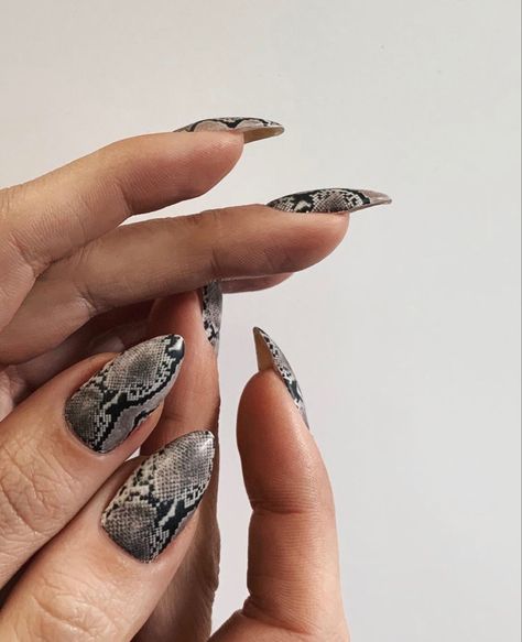 Snake Manicure Nail Art, Black Snakeskin Nails, White Snakeskin Nails, Snake Foil Nails, Snake Scale Nails, Snake Print Nails Design, Snake Skin Nail Art, Snakeskin Nail Designs, Snake Print Nails Acrylic