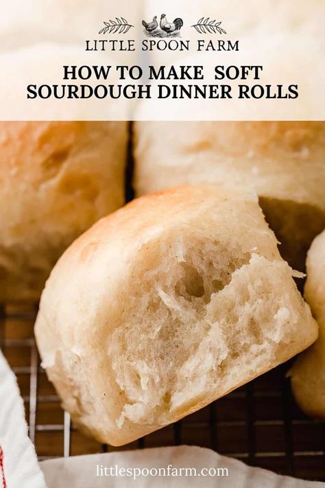 Same Day Sourdough, Sourdough Dinner, Overnight Sourdough, Sourdough Dinner Rolls, Dinner Roll Recipe, Recipe Using Sourdough Starter, Sourdough Rolls, Overnight Recipes, Sourdough Starter Discard Recipe