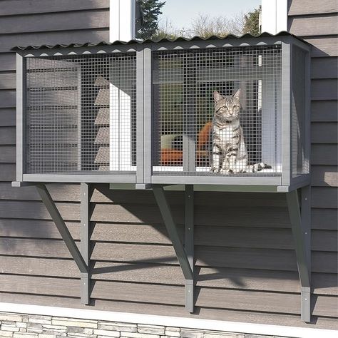 Amazon.com : TIMHAKA Cat Catio, Cat Window Perch for Large Indoor Cats - for Sunbathing, Napping & Overlooking, Wooden Cat Window Hammock for Safely Enjoying The Outdoor Sights Scents and Sounds : Pet Supplies Cat Indoor Outdoor Enclosure, Cat Kennel Outdoor, Outdoor Cat Enclosure Ideas, Sunroom Cat Room, Portable Catio For Cats, Small Catio Ideas Cat, Small Catio Cats, Cat House Decor, Window Catio Diy