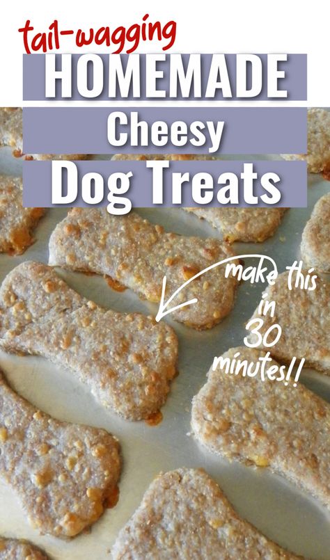 Here's a simple recipe for homemade cheesy dog treats with cheese. This is perfect for training your puppy, gifting, or anytime. Cheesy Dog Treats, Cheddar Cheese Dog Treats, Cheese Dog Treats Homemade, Best Dog Treats Recipe, No Bake Dog Treats Homemade, Simple Dog Treats, Cheddar Dog Treats, Cheese Dog Treats, No Bake Dog Treats