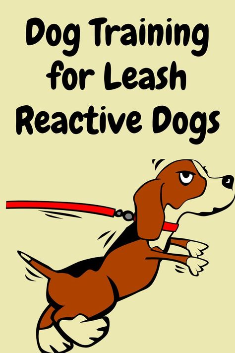 Professional Dog Trainer and Behavioral Specialist, Doggy Dan (owner of the dog training website, TheOnlineDogTrainer.com) has developed a dog training program called, The Dog Calming Code, that’s particularly effective for leash reactivity and leash aggression.  It’s easy to follow and inexpensive.  You don't have to be nervous about walking your dog anymore!

Dog Leash Reactivity | Leash Reactive Dog Training | How to Train a Leash Reactive Dog | Dog Leash Aggression | Leash Aggressive Dog Leash Training A Dog, Reactive Dog Training, Behavioral Specialist, Reactive Dog, What Kind Of Dog, Dog Behavior Problems, Leash Training, Dog Brain, Puppy Training Tips