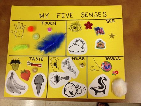 five senses ideas for preschool | 5 Senses Preschool Craft My Amazing Body Preschool Crafts, Five Senses Learning Centers For Preschool, Manners And Feelings Preschool Crafts, 5 Senses Craft Kindergarten, 5 Sense Crafts For Preschoolers, 5 Senses Centers Preschool, Five Senses Projects For Kids, Five Senses Crafts For Preschool Art Projects, 5 Senses Projects For Kids