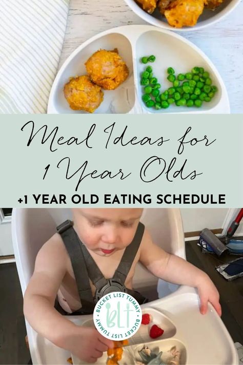 This breakdown of a 1 year old eating schedule can help provide structure and consistency when feeding your baby and you can modify as needed. I’m also sharing several, dietitian-approved meal ideas for your one year old! Food One Year Old, Lunch Ideas For 1 Year Baby, One Year Old Dinner Ideas, Meal Ideas For One Year Old, Recipes For 1 Year Baby, Meal Ideas For 1 Year Baby, Lunch For 1 Year Baby, Foods For One Year Olds, Food For One Year Old