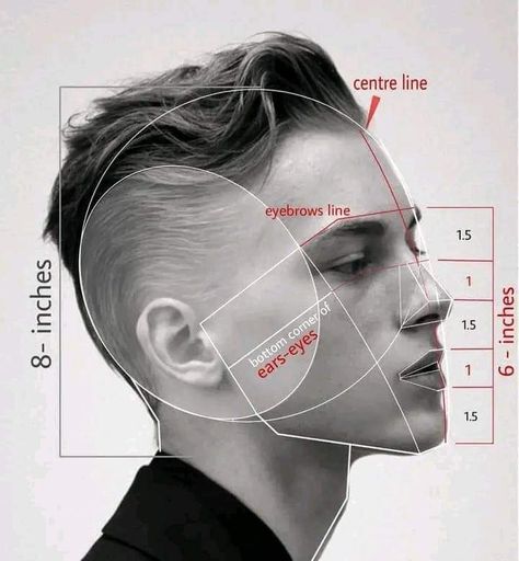 Portrait Drawing Tips, Facial Proportions, Face Proportions, Body References, 얼굴 드로잉, Drawing Tutorial Face, Human Anatomy Drawing, 얼굴 그리기, Human Anatomy Art