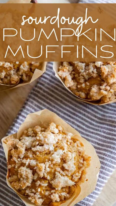 Make these easy sourdough pumpkin muffins with your sourdough discard. They are easy to make, tender, and taste amazing! Pumpkin Muffins With Sourdough Discard, Pumpkin Discard Muffins, Sourdough Starter Pumpkin Muffins, Sourdough Pumpkin Spice Muffins, Sourdough Pumpkin Bread Farmhouse On Boone, Sourdough Pumpkin Muffins Recipe, Sour Dough Discard Pumpkin Recipes, Pumpkin Muffins Sourdough, Simple Is Gourmet