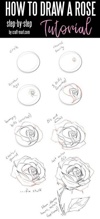 Ako Kresliť, Easy Pencil Drawings, Draw A Rose, Rose Step By Step, How To Draw Flowers, Draw Flowers, Drawing Hands, Drawing Tutorials For Beginners, Drawing Eyes