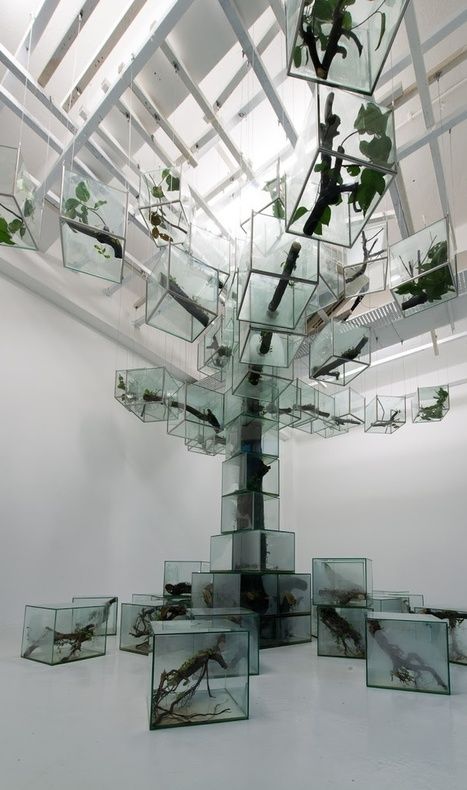 Organic Installation, Environment Exhibition, Ecosystem Art, Singapore Art Museum, Mises En Page Design Graphique, Singapore Art, Glass Box, Sea Glass Art, Glass Boxes