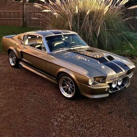 Old Mustang, Mustang Muscle Car, Cars Mustang, Mobil Mustang, Shelby Gt 500, 1971 Ford Mustang, Мотоциклы Harley Davidson, Muscle Cars Mustang, Mustang Car