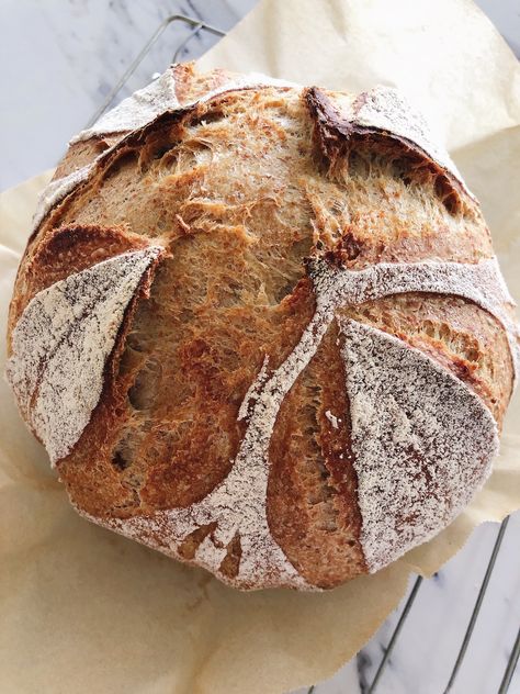 This spelt flour no knead bread is super simple, requires no kneading and will astound you with its flavour. Spelt Bread Recipe, Spelt Flour Recipes, Spelt Recipes, Spelt Bread, Knead Bread, Spelt Flour, Ancient Grains, No Knead Bread, No Knead