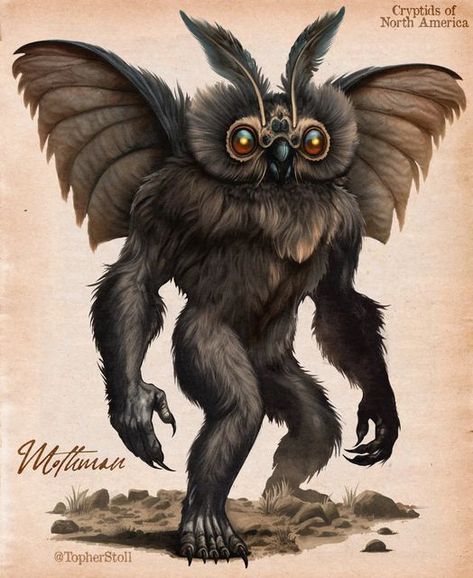 Mothman Drawing, Mothman Aesthetic, Moth People, American Cryptids, Appalachian Folklore, Mothman Art, Indrid Cold, Cryptid Art, Moth Man