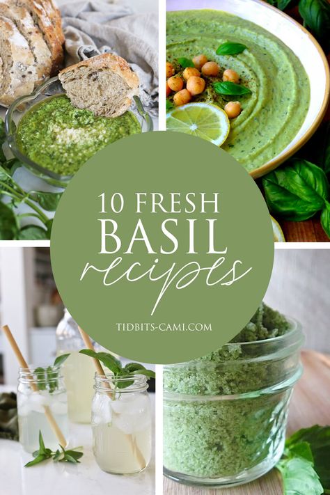 If your garden is abundant with basil, let's explore what to make with fresh basil with these 10 yummy fresh basil recipes. Lemon Basil Recipes, Basil Recipes Healthy, Benefits Of Basil, Basil Hummus, Basil Smoothie, Fresh Basil Recipes, Basil Recipes, Herb Recipes, Lemon Basil