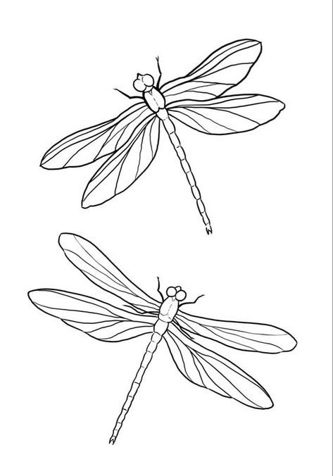 Simple Dragon Fly Drawing, Insect Line Drawing, Dragonfly Outline Drawings, Dragon Fly Tattoo Drawing, Dragon Fly Tattoo Outline, Dragonfly Flash Tattoo, Birds Outline Drawing, Drawing Of Dragonfly, Insect Tattoo Stencil