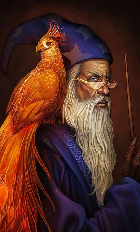 Dumbledore and Fawkes Fanart Harry Potter, Phoenix Harry Potter, Dark Harry, Art Harry Potter, Images Harry Potter, Harry Potter Artwork, Potter Art, Harry Potter Drawings, Lord Voldemort