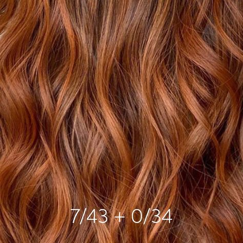 Wella Professionals on Instagram: “This fiery brown and #CopperSunsetHair by Wella Passionnista @lorenzo.huanambal is so pretty with its chocolate brown roots that fade into…” Level 6 Red Hair, Level 6 Red Hair Color, Red Hair Formulas, Brownish Red Hair, Roux Auburn, Dark Ginger Hair, Copper Brown Hair Color, Red Copper Hair Color, Sunset Hair